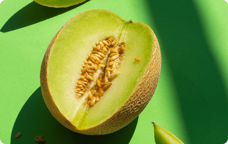 Cut melon on a green background