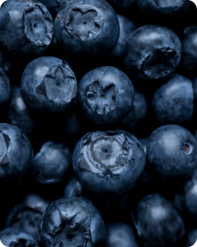 Blueberry berries